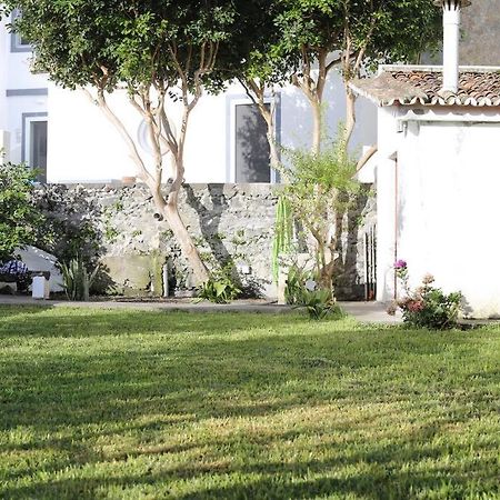 City Center, 200 Meters To Marina, Walk To Everything, Private Yard And Garden Ponta Delgada 외부 사진
