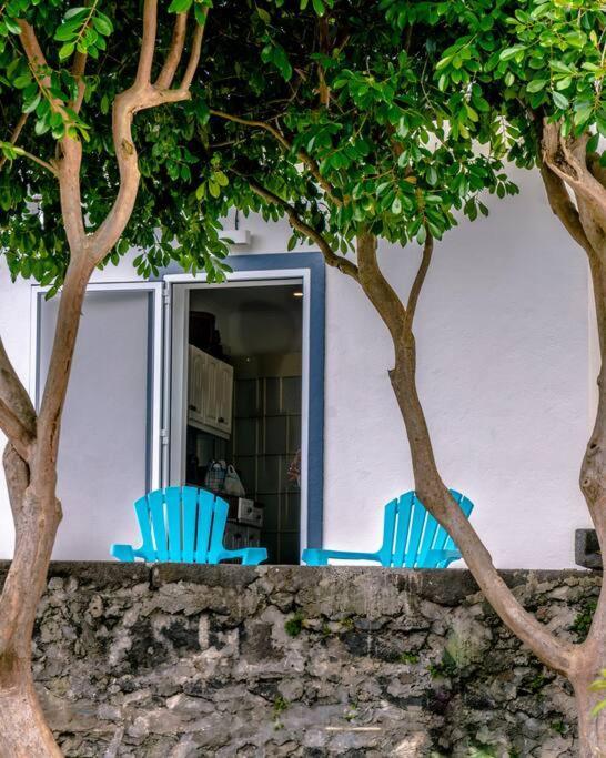 City Center, 200 Meters To Marina, Walk To Everything, Private Yard And Garden Ponta Delgada 외부 사진